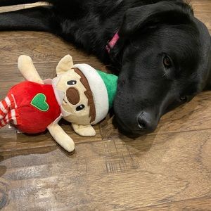 Meet your Posher, Jodie